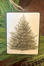 Douglas Fir Tree  Ornament 5.5"