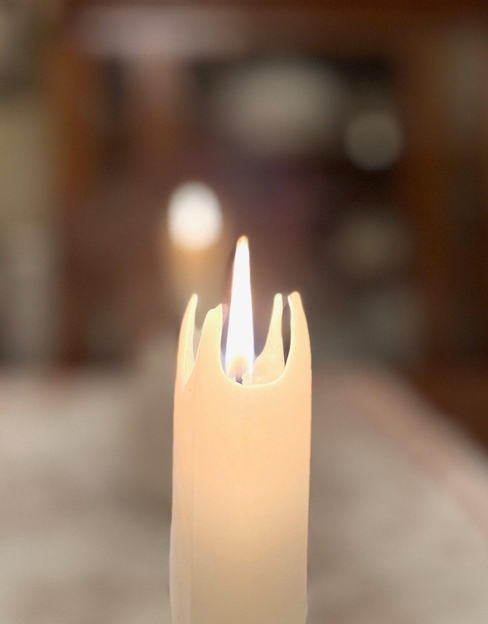 Square Candle  8 Inch (Box of 8)  Linen White