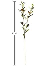 Olive Stem 32.5"