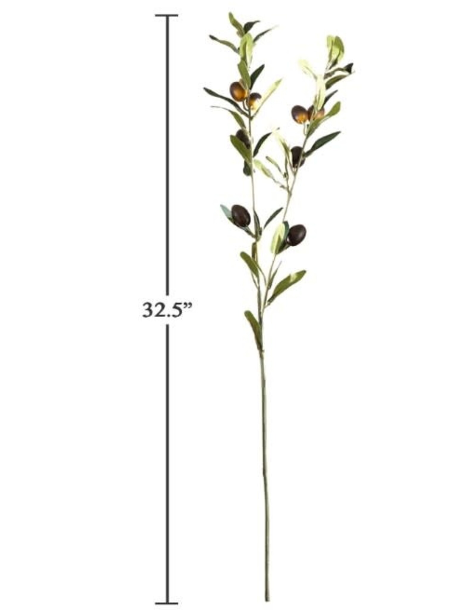 Olive Stem 32.5"