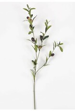 Olive Stem 32.5"