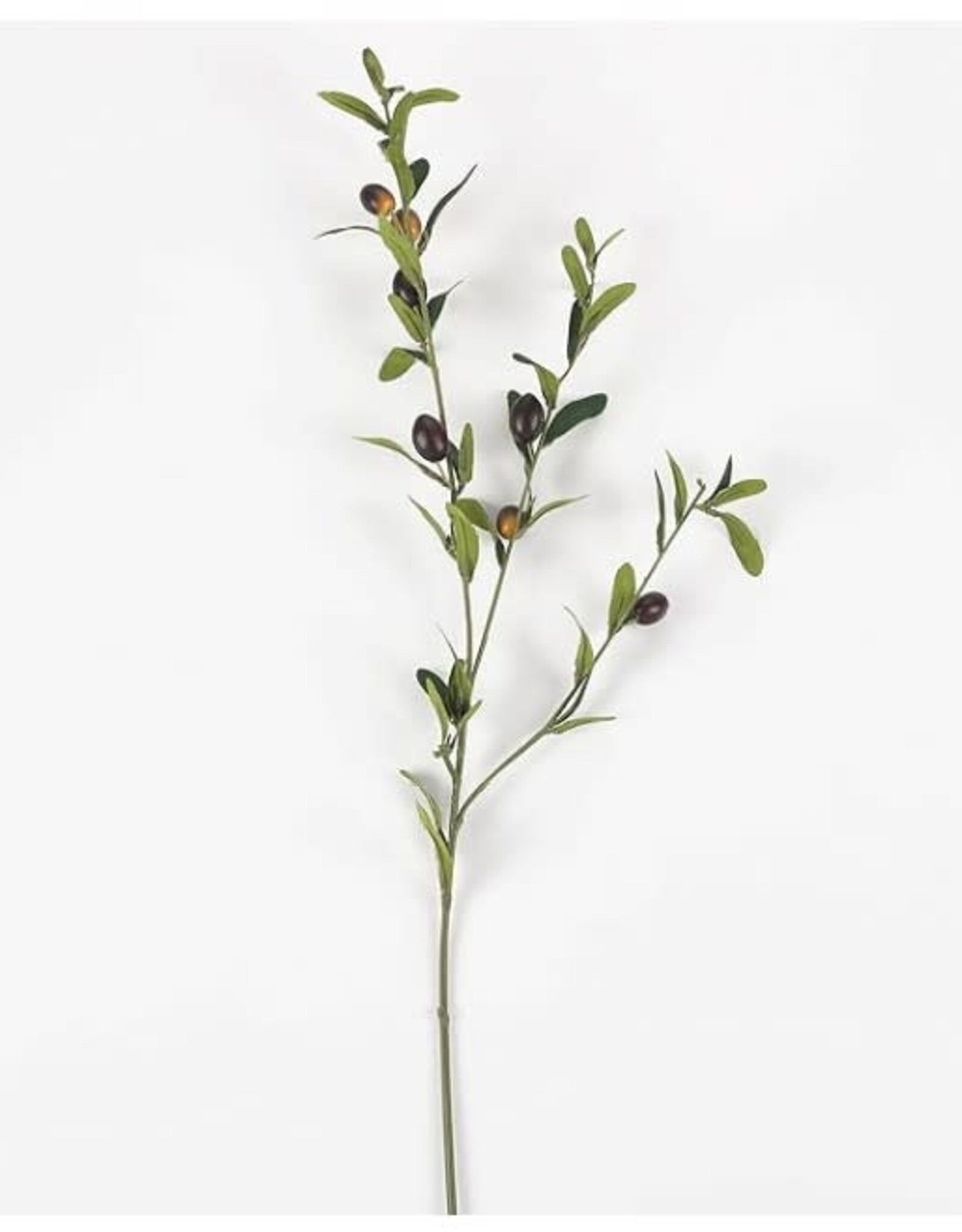 Olive Stem 32.5"