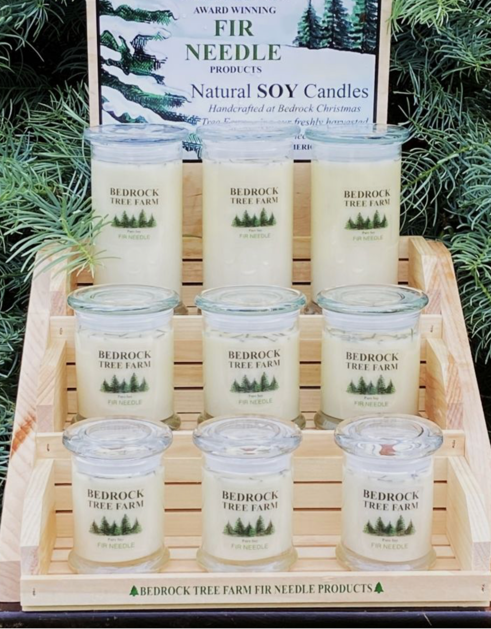 Fir Needle Soy Candle - 8 oz.