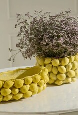 Layered Lemon Collection Bowl19"x 11"x 6.25"