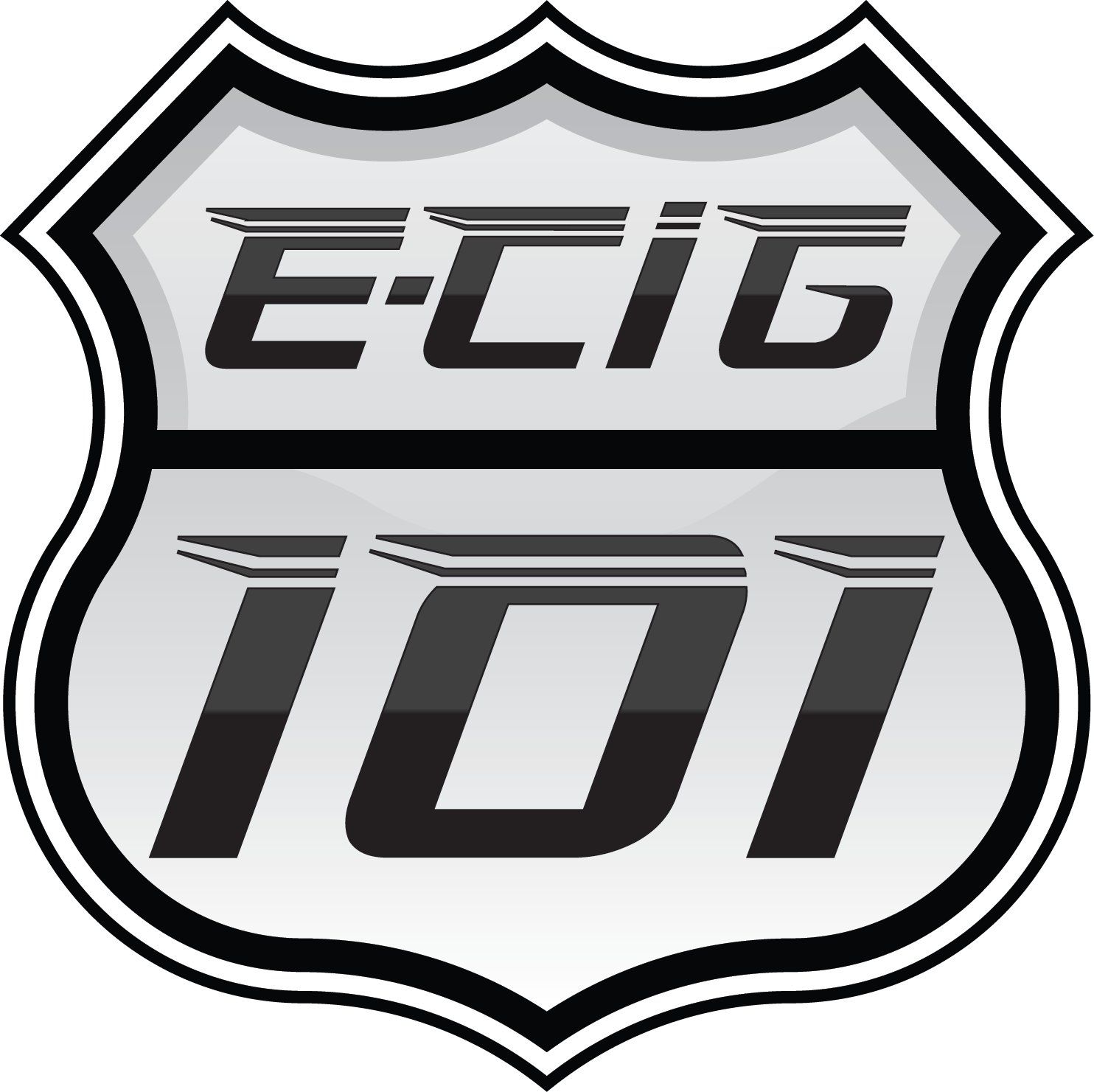 E-CIG 101