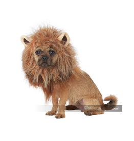 Dog Costume King of the Jungle Small