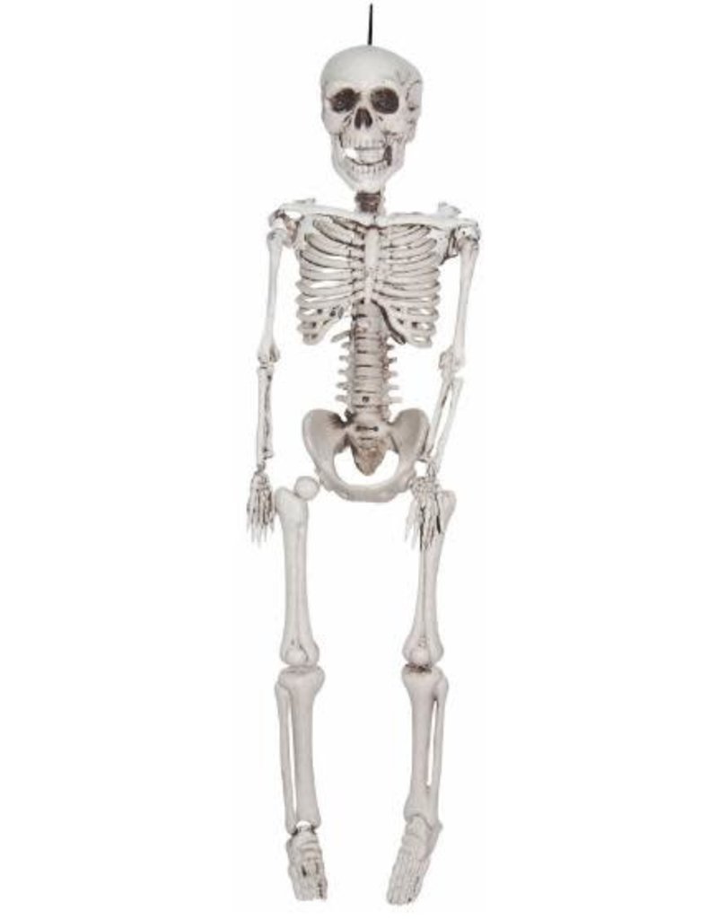 12" Medium Plastic Realistic Skeleton