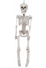 Realistic Plastic Skeleton 36"