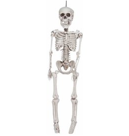 Realistic Plastic Skeleton 36"
