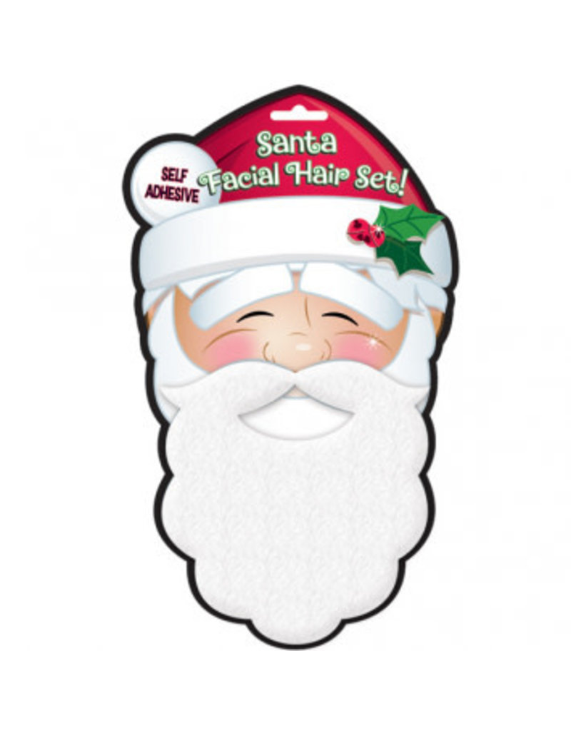 Santa Plush Facial Hair Set