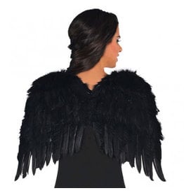 Black Feather Wings