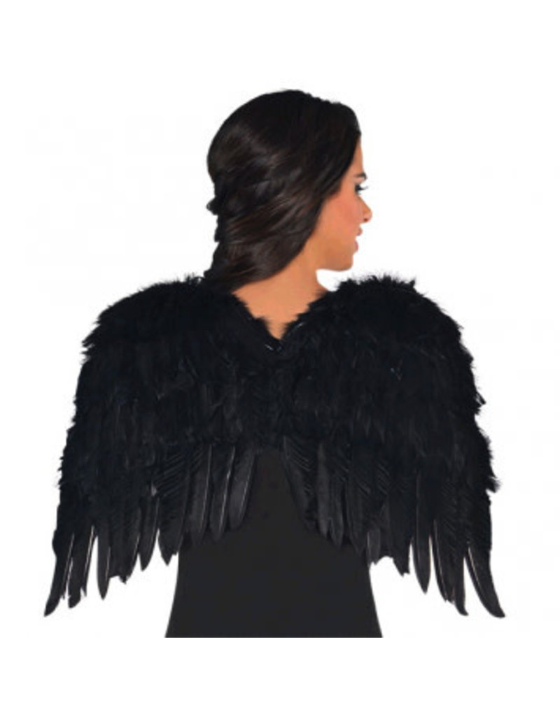 Black Feather Wings