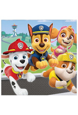 Paw Patrol™ Adventures Luncheon Napkins (16)