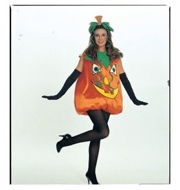 Women's Pumpkin Pie Standard Costume