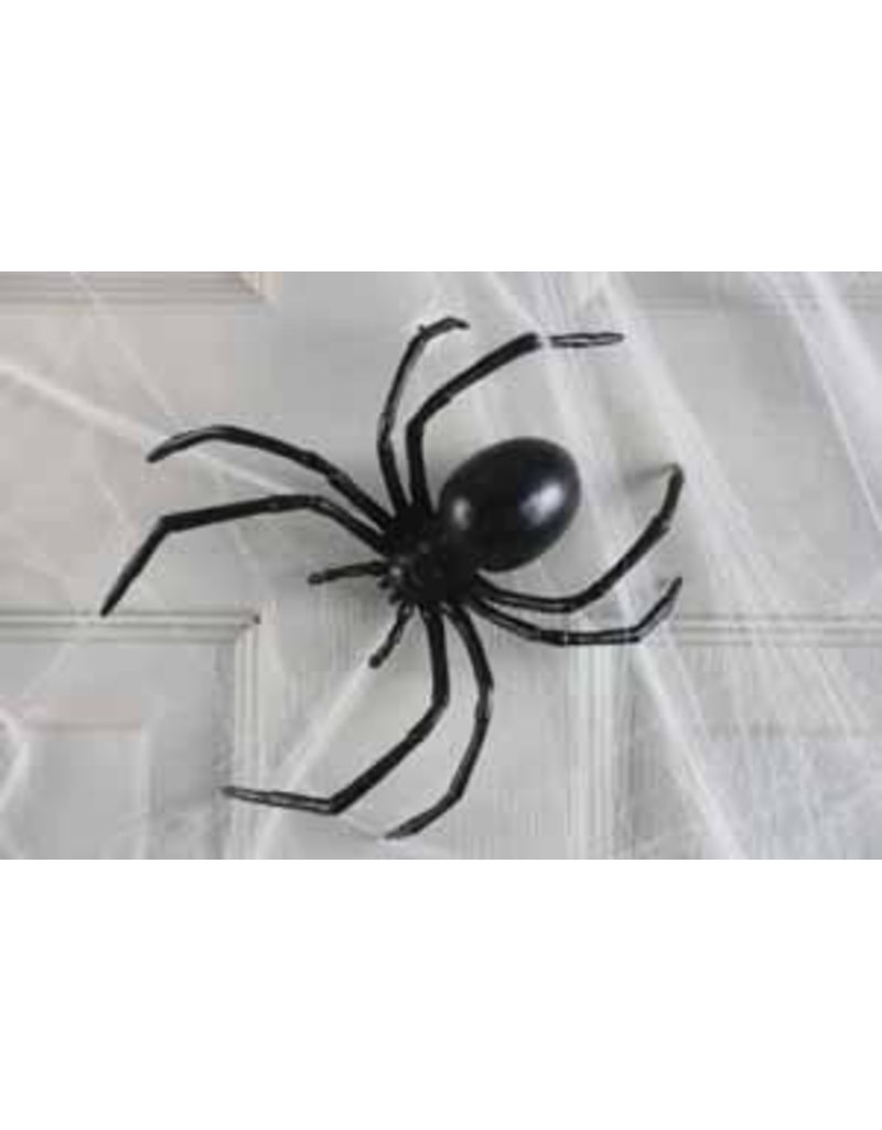 6" Black Widow Spider