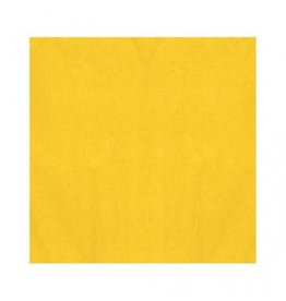 Yellow Solid Tissue