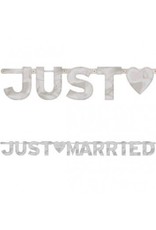 Just Married Silver Banner