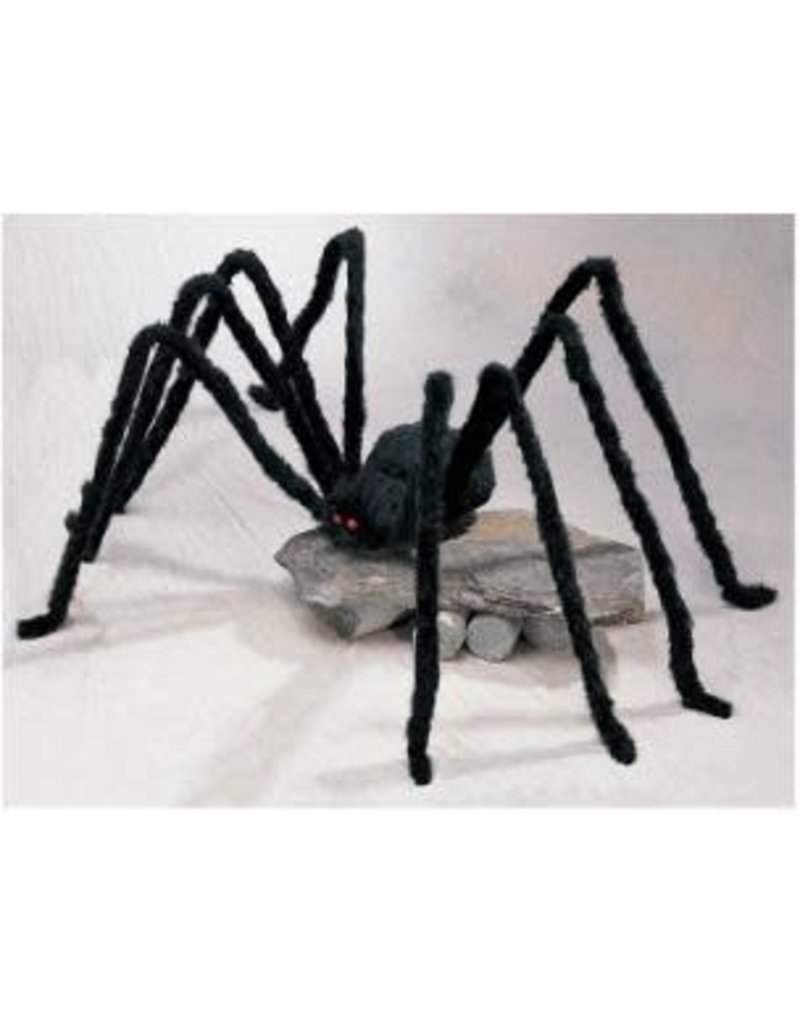 Black Giant Spiders