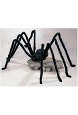 Black Giant Spiders
