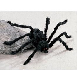 Black Spiders Medium