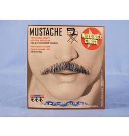 Monsieur Grey Moustache