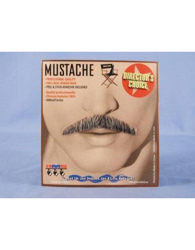 Monsieur Grey Moustache