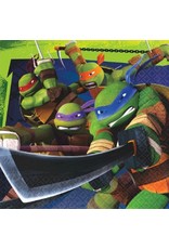 TMNT Luncheon Napkins (16)