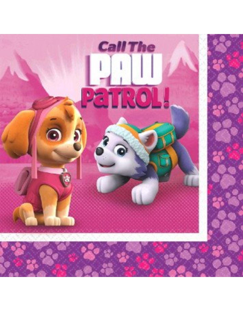 Paw Patrol Girl Lunch Napkins (16)