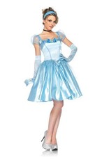 Women's Cinderella Small Costume
