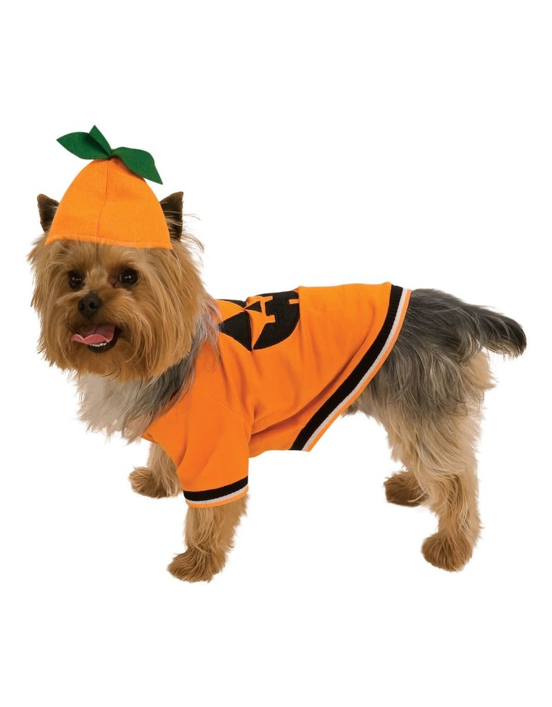 Pumpkin Pet Costume Large