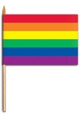 Rainbow Flag Large