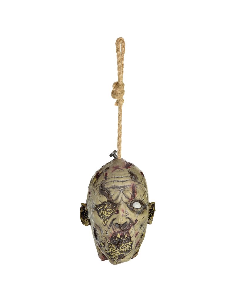 Pest Infested Hanging Head