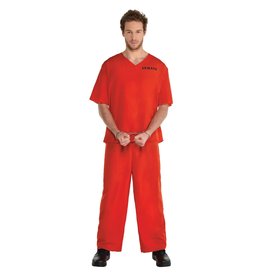 Incarcerated Adult Standard Costume (Prisoner)