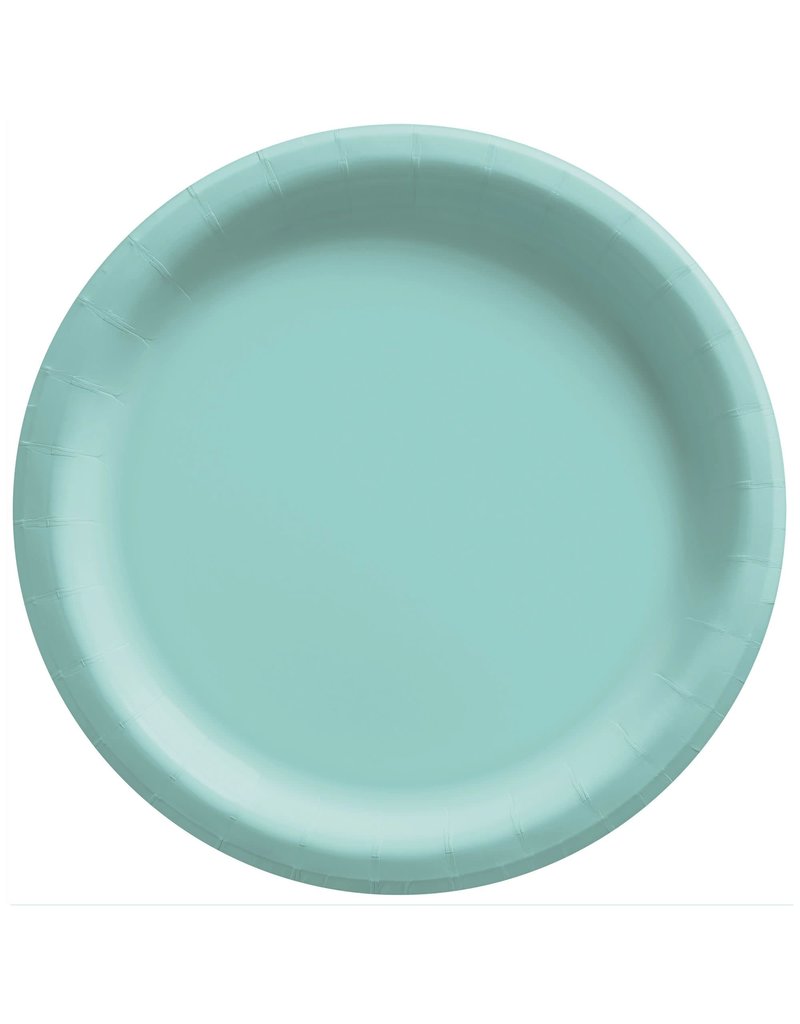 10" Round Paper Plates, Mid Ct. - Robin's-Egg Blue (20)