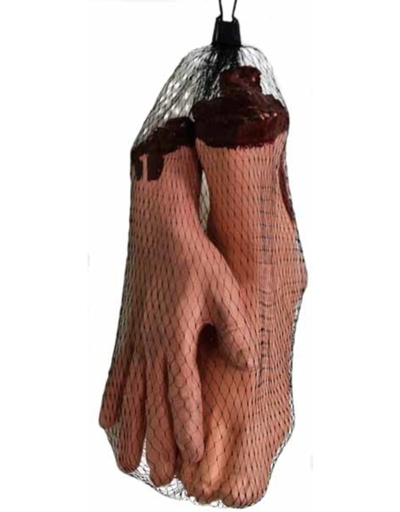 Bag Of Bloody Hand & Foot