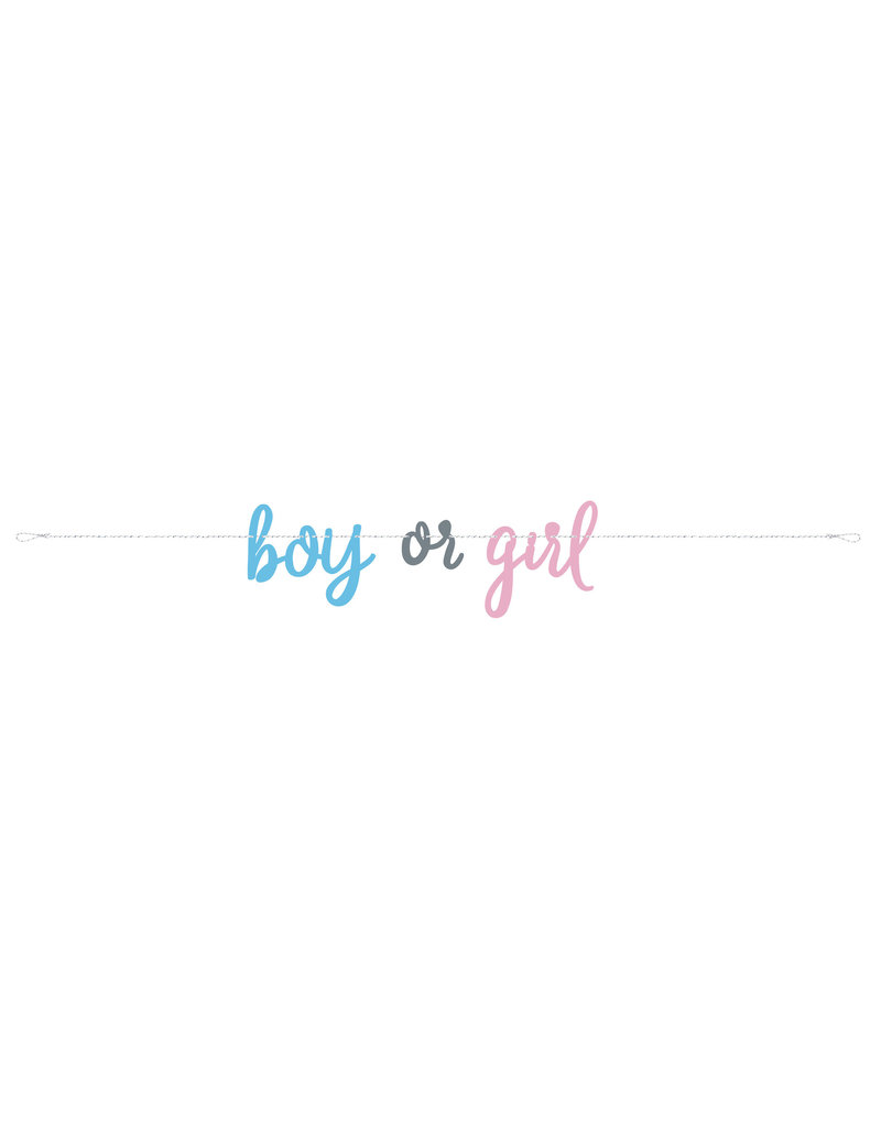 Gender Reveal Boy or Girl Banner 7FT
