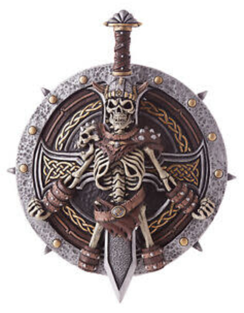 Viking Lord Shield and Sword