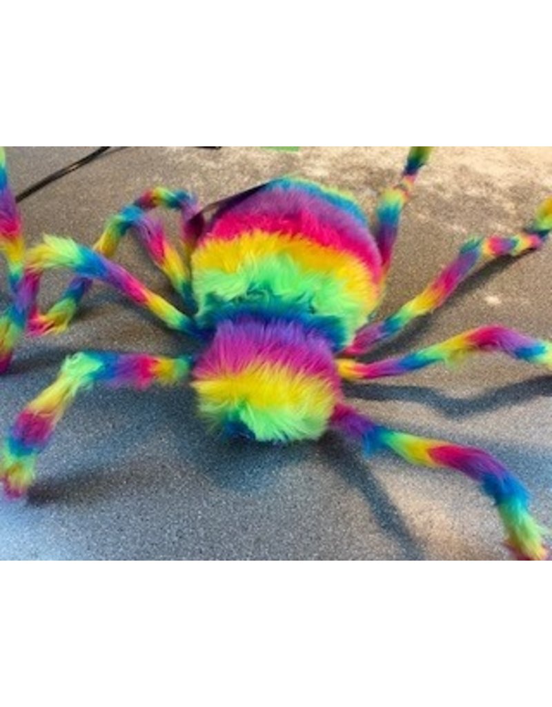 Large  Neon Rainbow Spider Ultraviolet