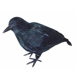Crow Medium Realistic