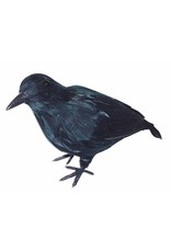 Crow Medium Realistic
