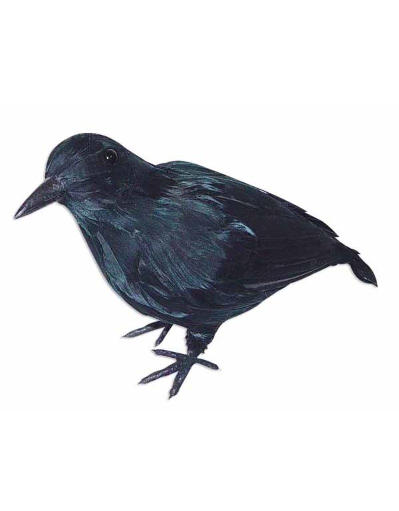 Crow Medium Realistic