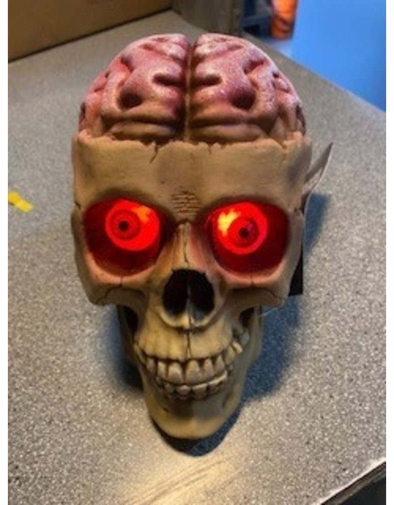 Relistic Skull With Bloody Brain
