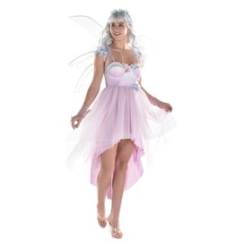 Women's Fairy Dress - Small/Medium Costume