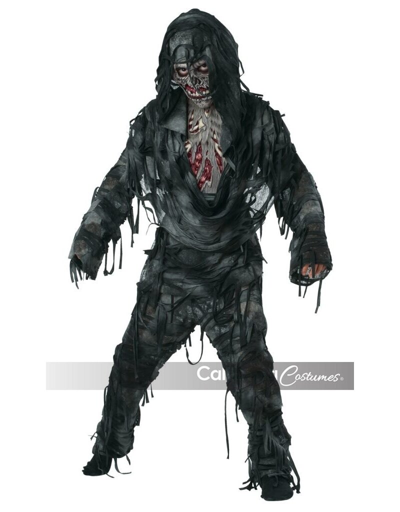 Boy's Rotten to the Core X-Large (12-14) Costume