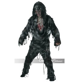 Boy's Rotten to the Core Large (10-12) Costume