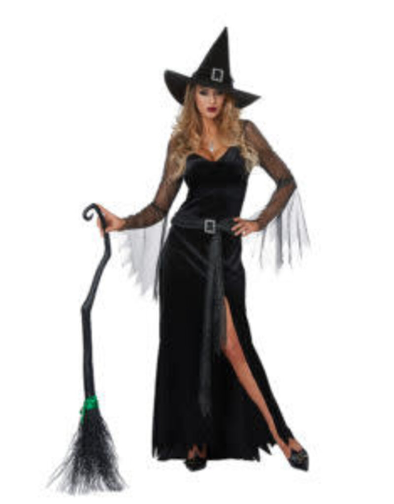 Women's Rich Witch Small (6-8) Costume