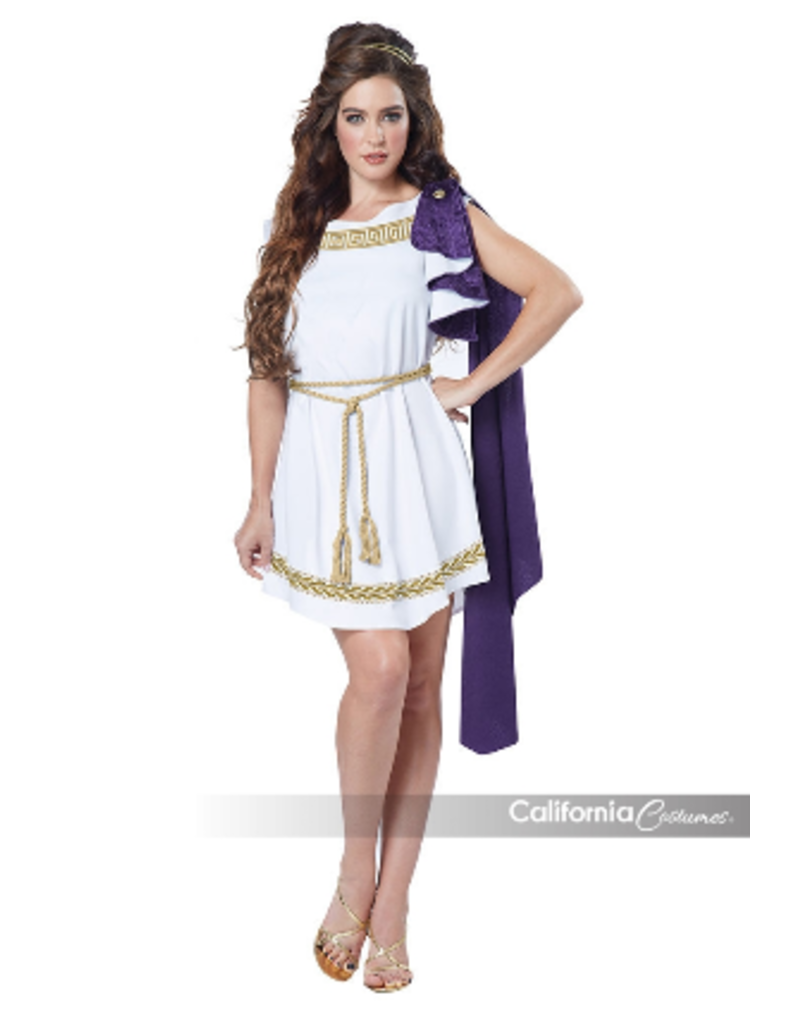 Women's Grecian Toga Dress X-Large (12-14) Costume