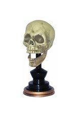 Skull On Pedestal