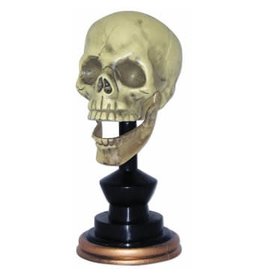 Skull On Pedestal