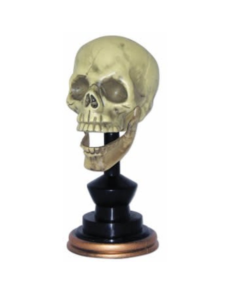 Skull On Pedestal
